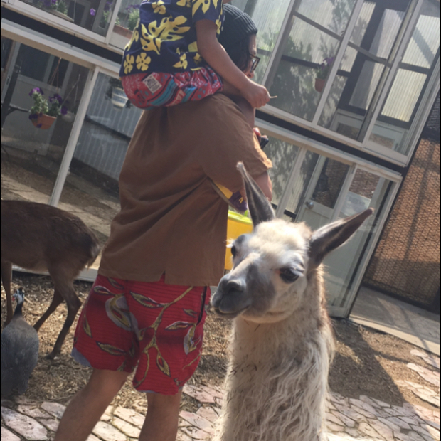 pic20170621155915_2.jpg
